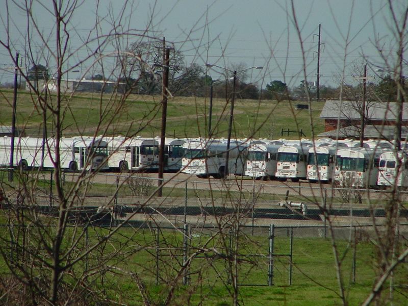 DSC50013