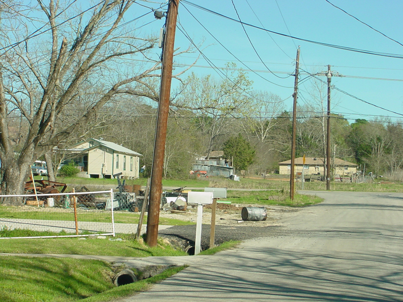DSC50031