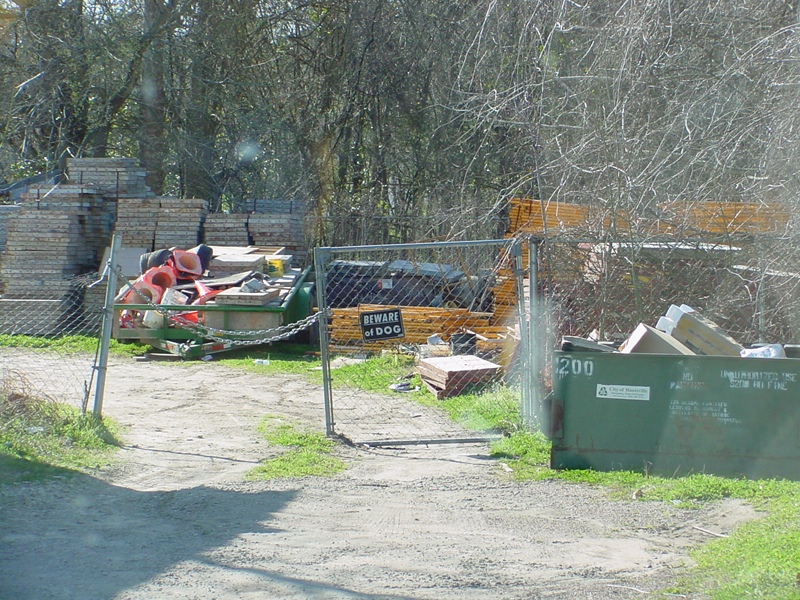 DSC50038