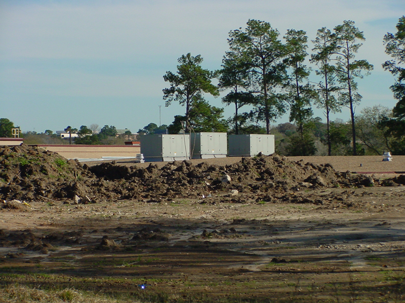 DSC50072