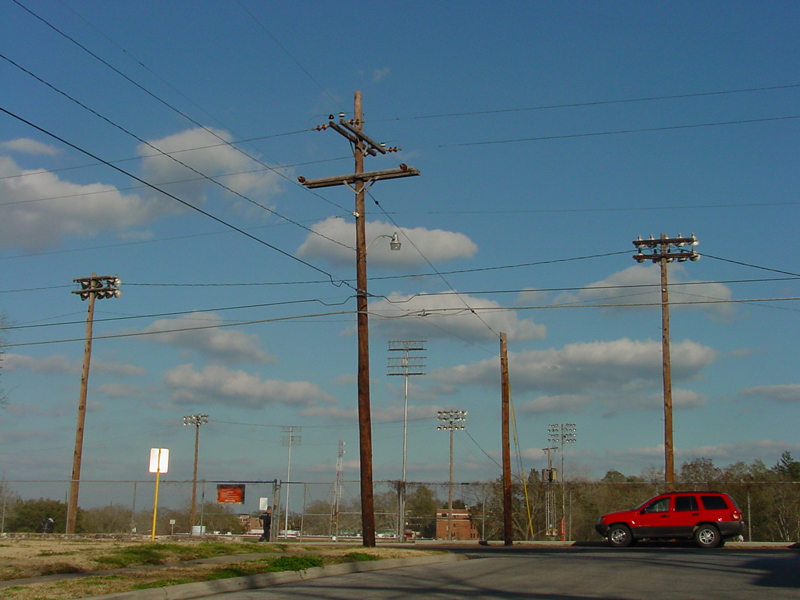 DSC60003