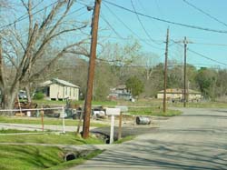 DSC50031