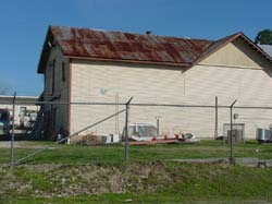 DSC50037