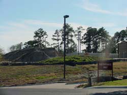 DSC50064