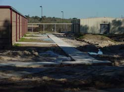 DSC50075