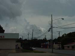 DSC54041
