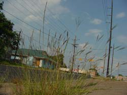 DSC55088