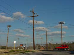 DSC60003
