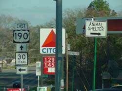 DSC60011