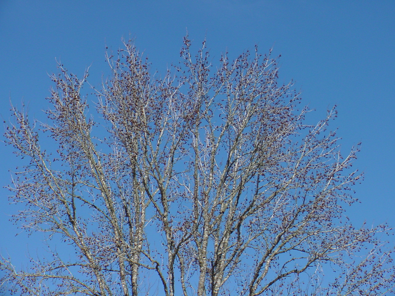 DSC95058